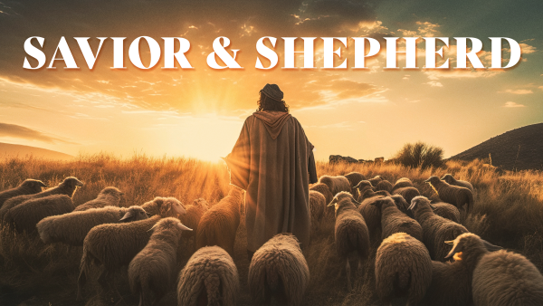 Savior And Shepard